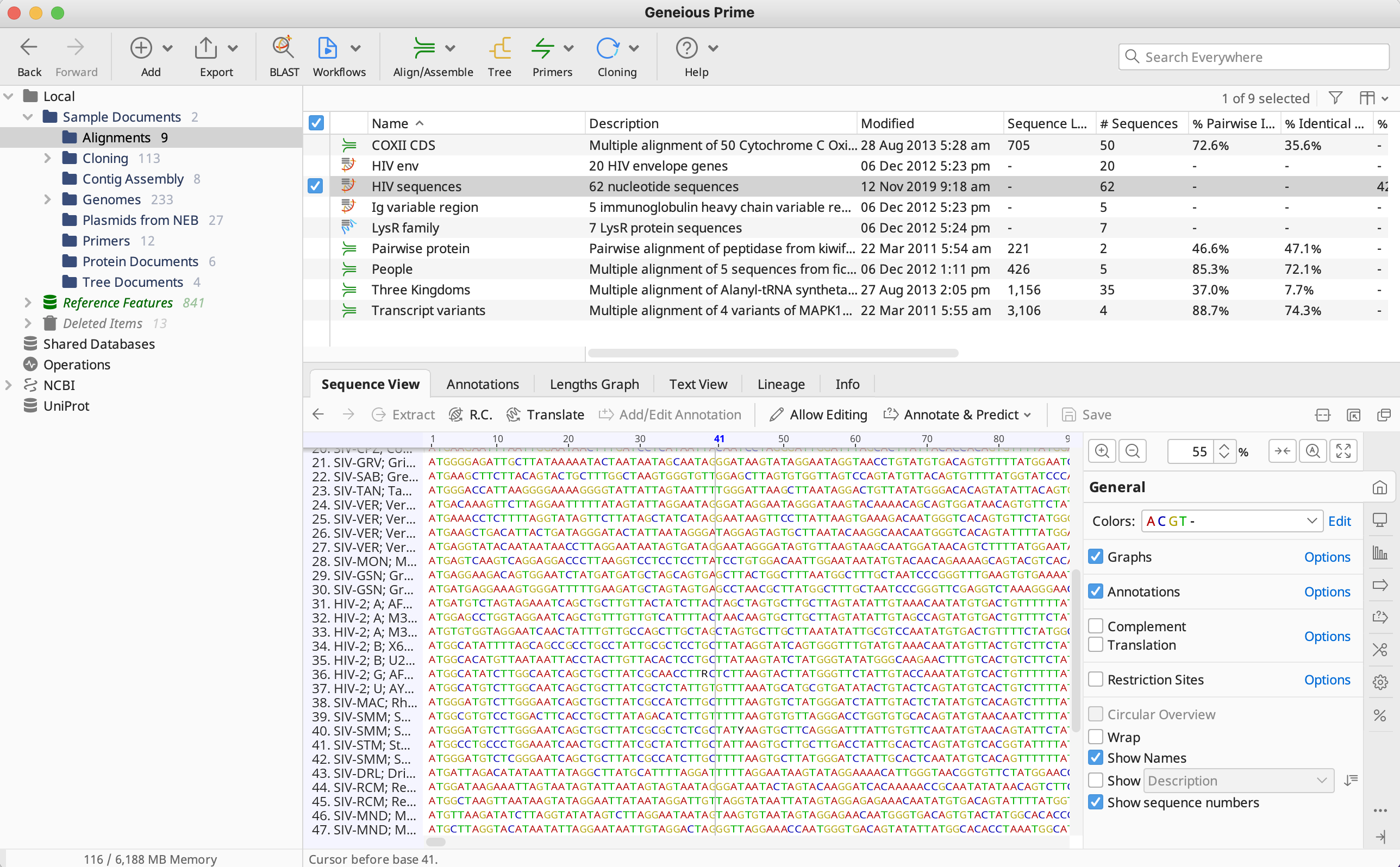 Geneious Prime_マルチプルアライメント_データの準備